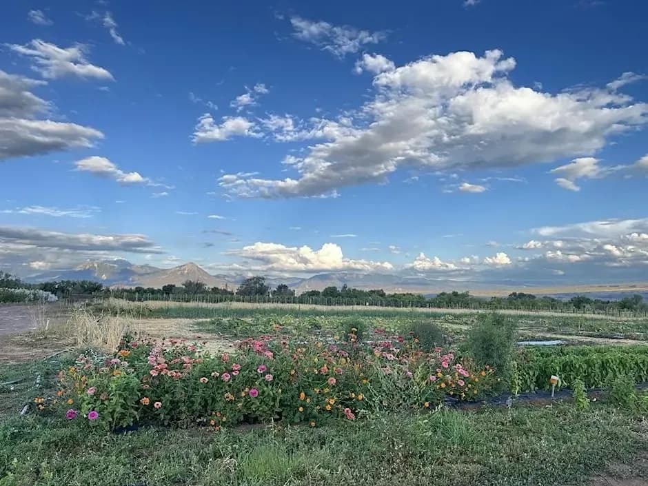 Soil Health Workshop