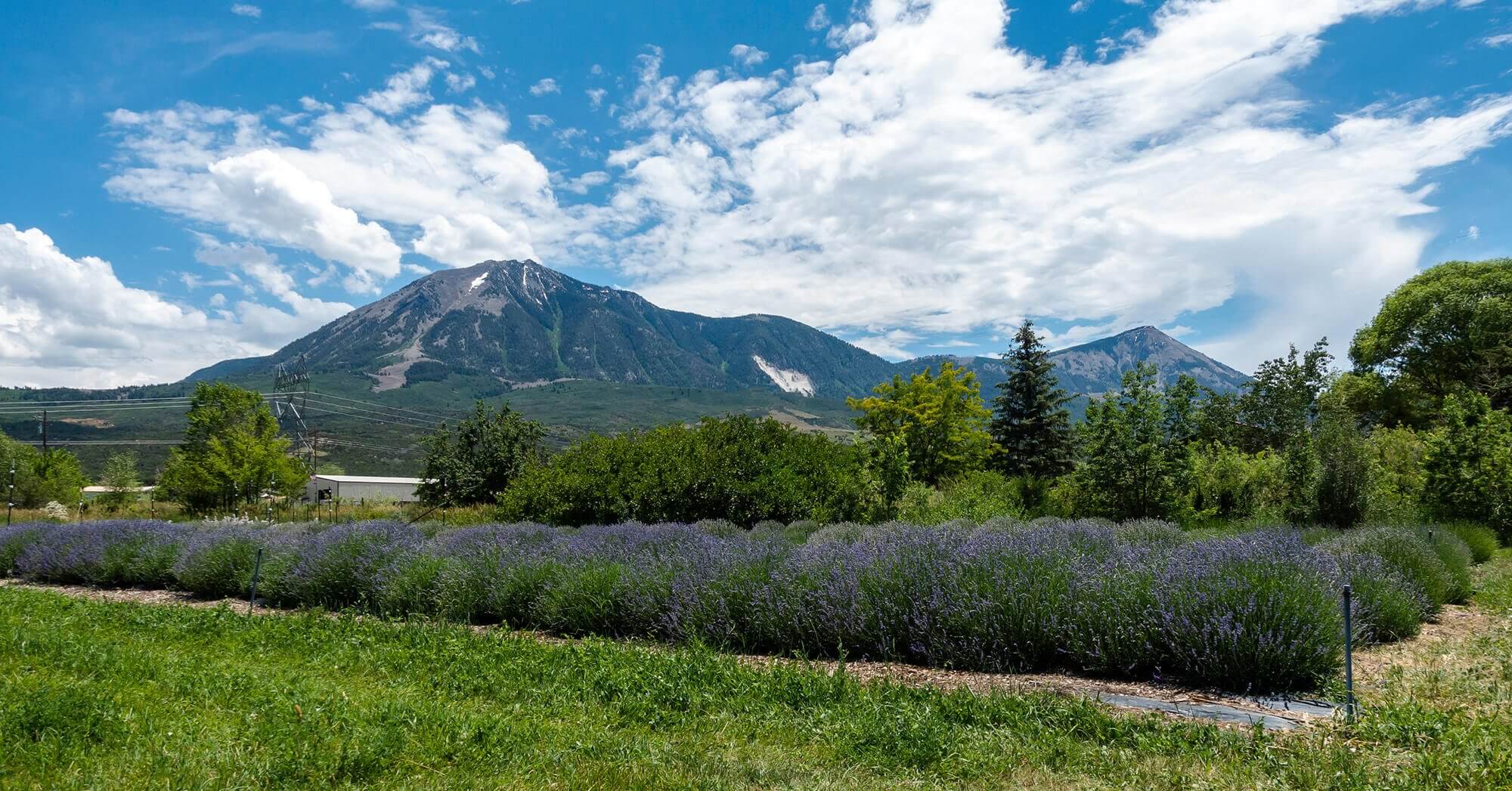 Image of a mountain